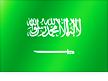 icon saudi