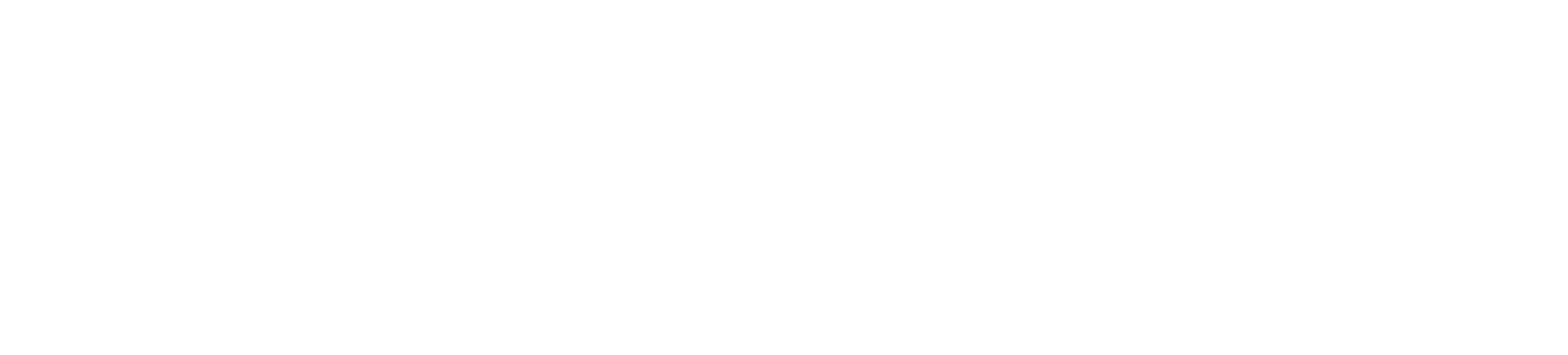 MEISTER_text